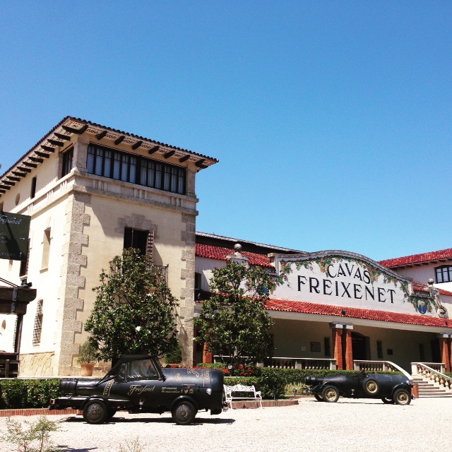 Cavas Freixenet