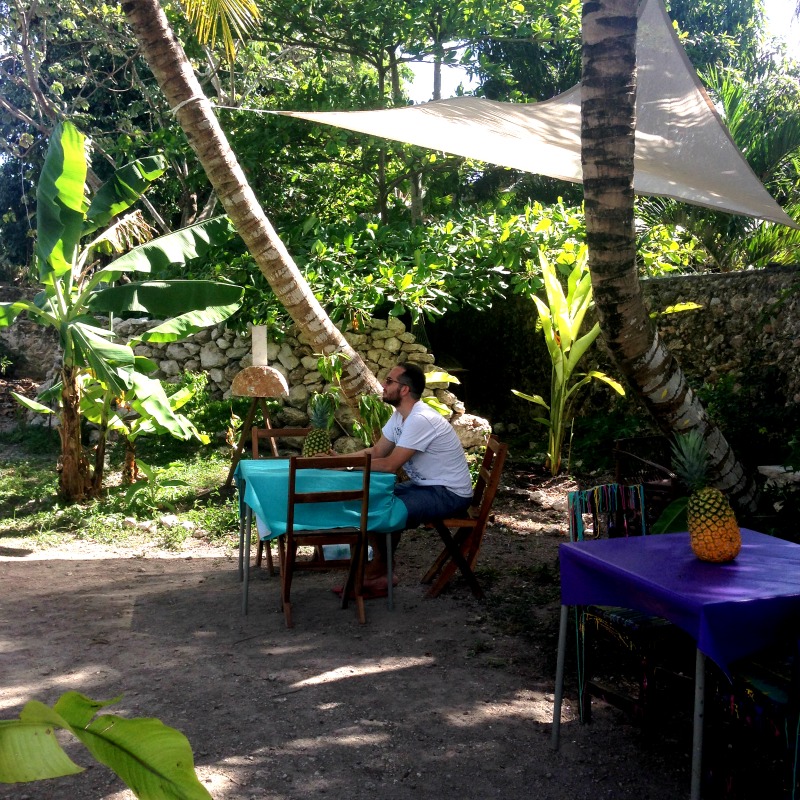 Manatí jardín