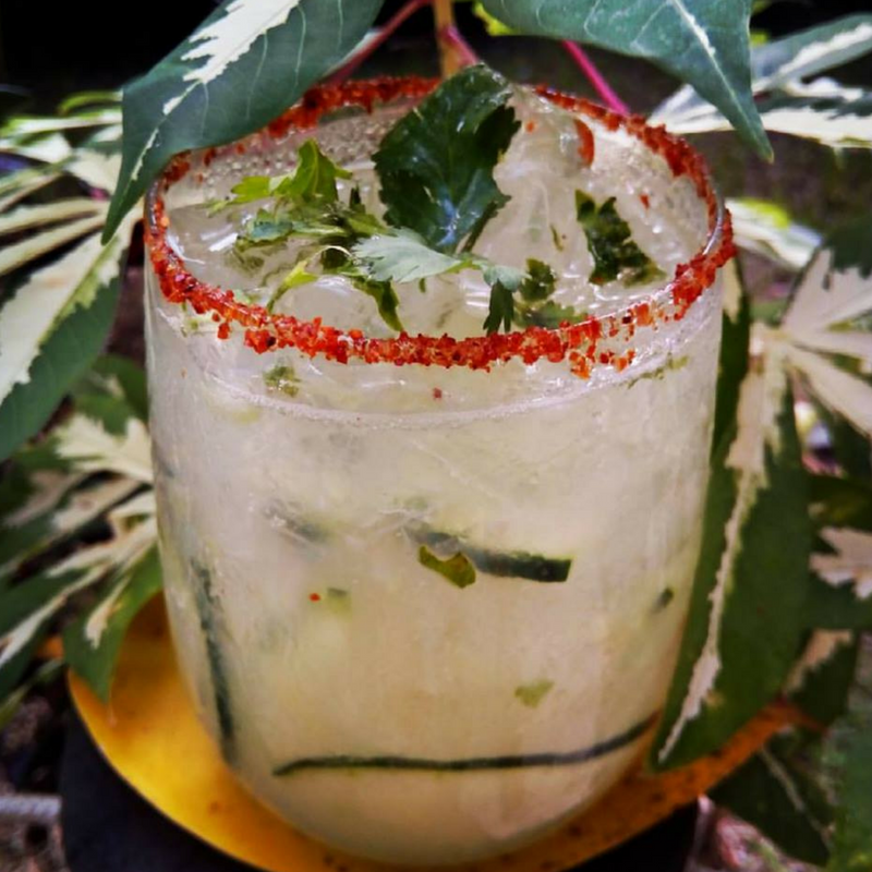 bebida playita bacalar