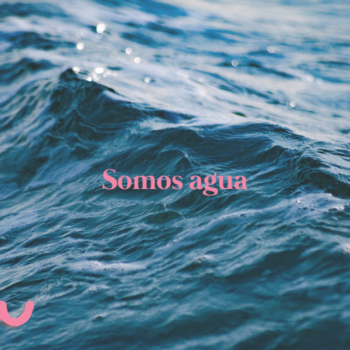 Somos agua